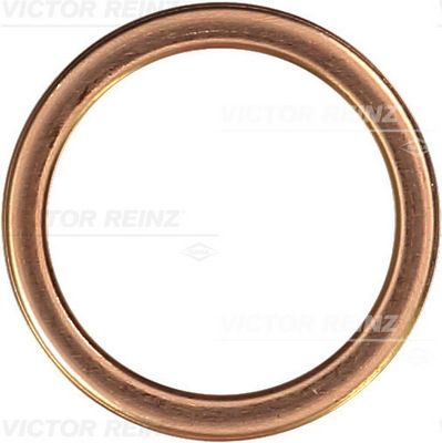 VICTOR REINZ Уплотнительное кольцо, резьбовая пробка маслосливн 41-72066-30